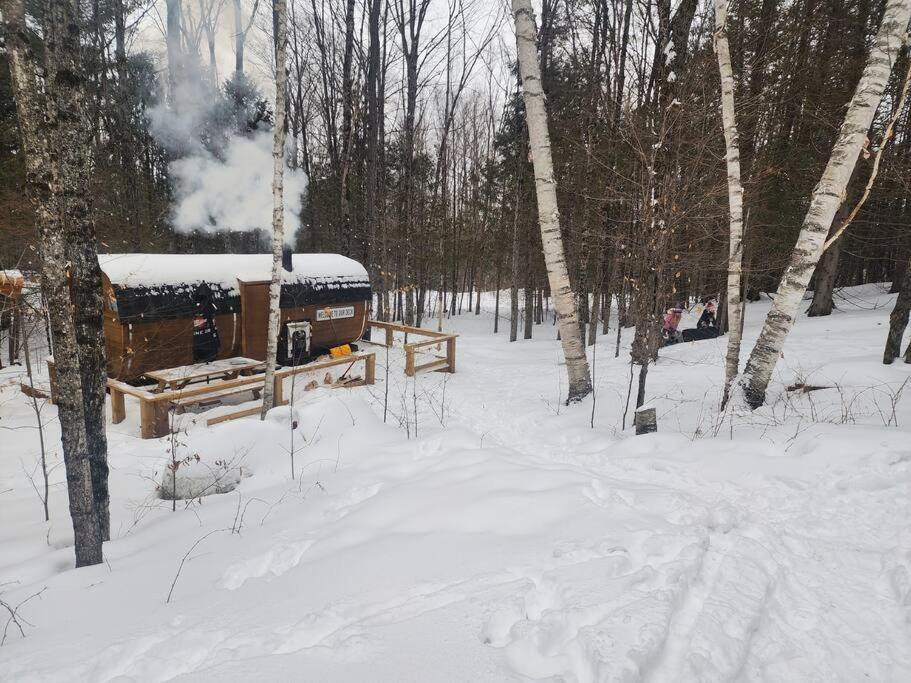 Dingle Run Lodge At Sir Sam'S Haliburton Exteriör bild